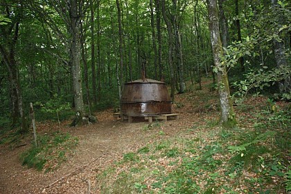 Forêt de l'Aiguille