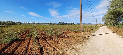 Tour de la Londe / Entre terre et Mer