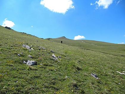 Sommet du Chiran par Blieux