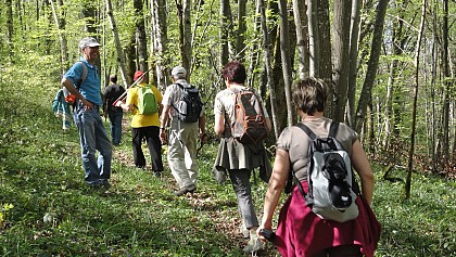 Le sentier de Fontenelay