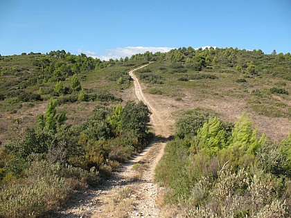 Sentier du Marbre - Boucle de Trausse