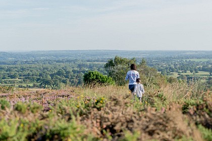 De la forêt de Saint-Sauveur au Mont de Besneville