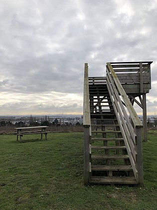 Balade découverte du Parc de la Patte d'Oie de Gonesse