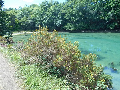 Le grand circuit de Névez : Entre Océan et Rivière