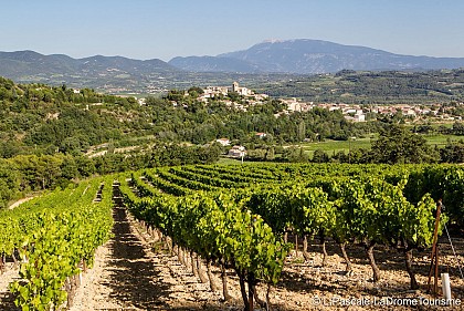 Les petites promenades de Vinsobres : Les Louardes