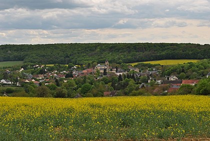 Collines et Bertranges - 1