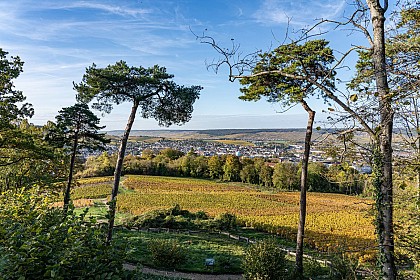 La couronne d'Epernay - Circuit cyclotouristique