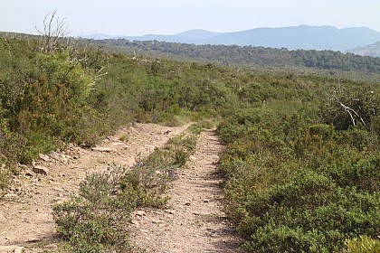 ROQUEBRUNE - Canton de Palayson - niveau 2