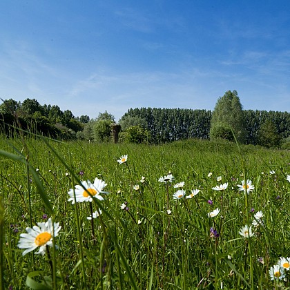 Les Etangs