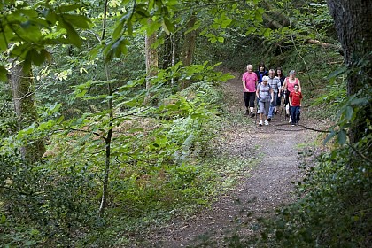Sentier des Popinettes, Questembert