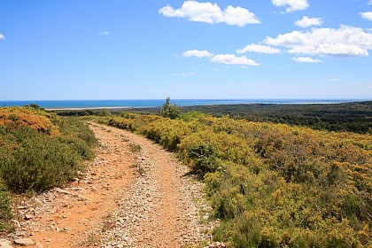 Parcours VTT Fleury : Circuit des pins au départ de Fleury