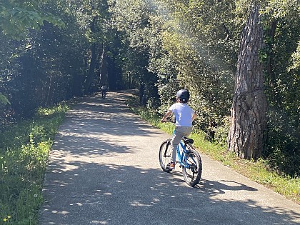 Road Track : Les Baies