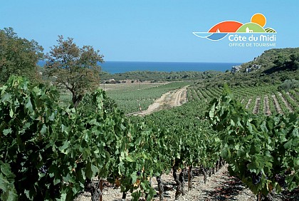 Route des Vins des Coteaux de Narbonne