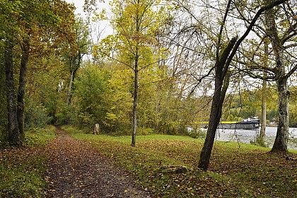 Sentier du Petit Barbeau - Accessible PMR