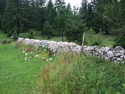 18 ou VTT 30 ou Trail 2 - La Grotte à Pierre du Bourg