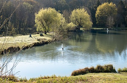 Circuit pédestre "Lac Neyton et le Merdanson"