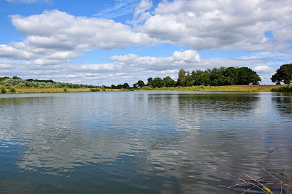 Lac et forêt à Pléven