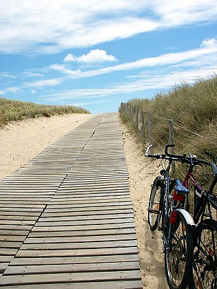 Circuit cyclotouristique à Lège-Cap Ferret (Piraillan, Le Canon, L'Herbe, Truc Vert, Piraillan)