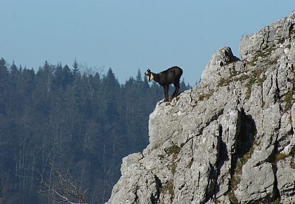 20 - Le Sentier des Passeurs