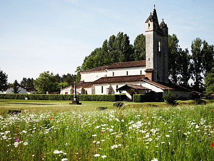 La route des airials