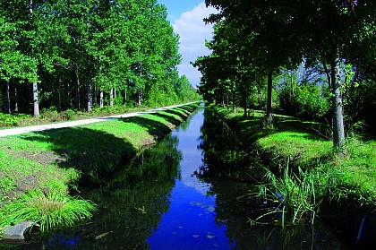 Du fil de l'eau aux Châteaux : Saint-Laurent du Médoc