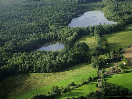 Parcours de découverte de la Réserve de Bresolettes