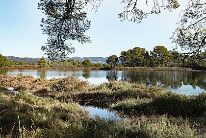 Circuit n°5b : Port Miramar / Les Vieux Salins d'Hyères