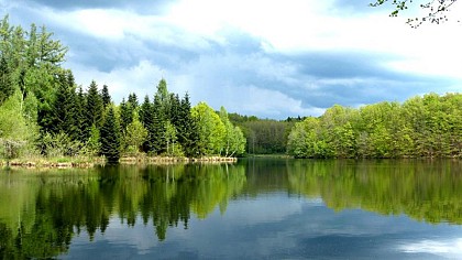Circuit pédestre "Le Grand Rosbeck" - Vosges du Sud