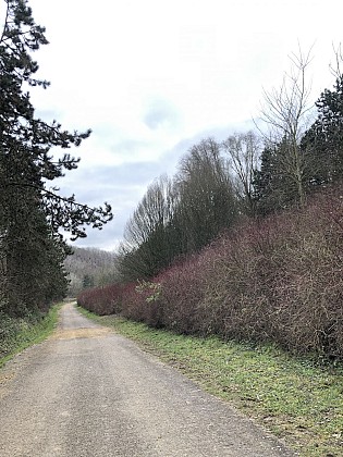 Balade au Parc de la Patte d'Oie