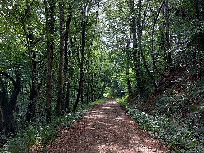 La Doulouze - Morlhon-le-Haut