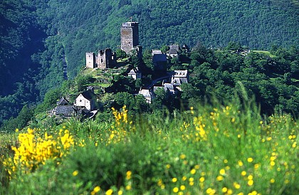 Circuit voiture Gorges de la Truyère et de la Selves