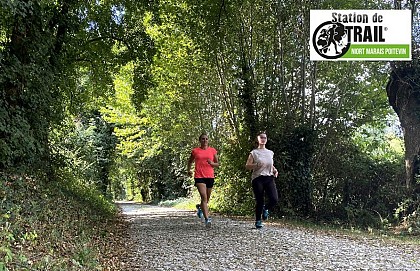 Ombres et lumières en forêt de Chizé - Station de Trail