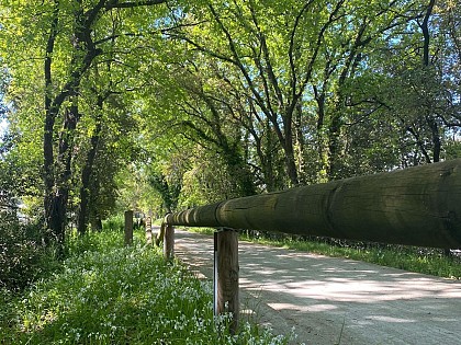 Cycle track : La Croix Valmer to Cavalaire