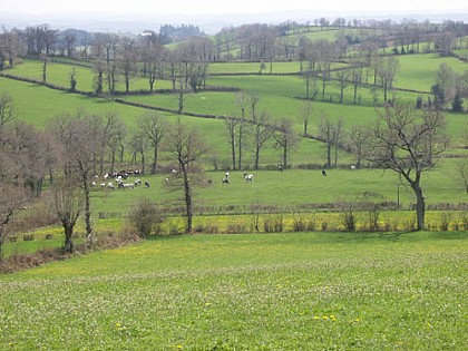 Ballade autour de Barry