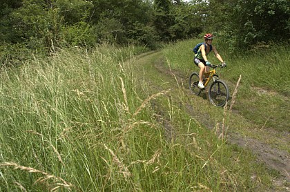 VTT sur les Crêtes - circuit n°26