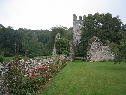 Vignoble de Champagne et Vallée de la Noxe