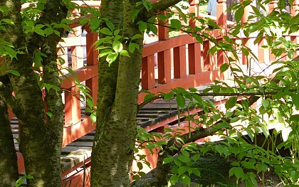 Des Coteaux de Saint-Cloud  à Issy-Val-de-Seine