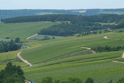 Sur la Route des Cisterciens