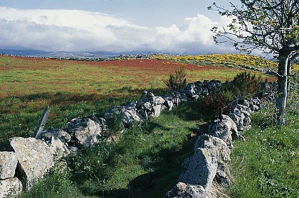 The Cham de l'Hermet plateau