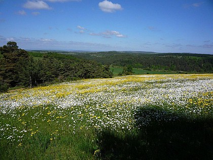 La Croix du Devois