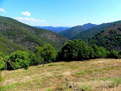 La Palombe
