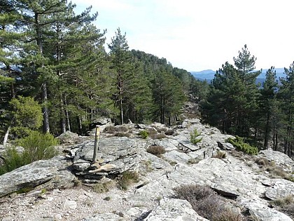 Roc de Galta