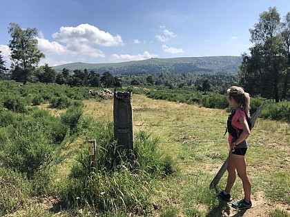 Versant Nord Mont Lozère - Trail n°9