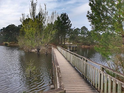 Balade à roulettes : Le bois des sources du Peugue