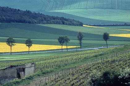 Les Côtes de Troyes en Champagne
