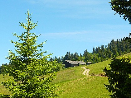 Le Tour du Chard du Beurre