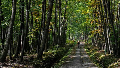 Itinéraire vtt : Le balcon n°7 Black