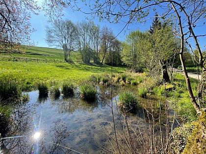 Sentier Tourbière et Marais