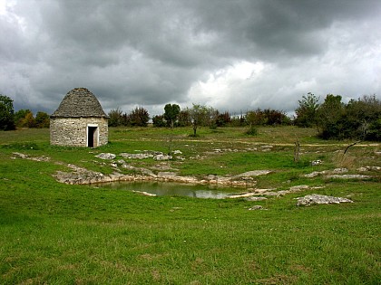 Entre Causse et Limargue