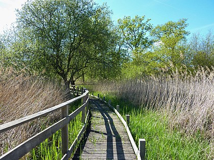 Le Marais de Bonnefont, Réserve Naturelle Régionale